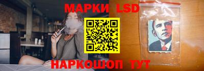 гидра Рязань