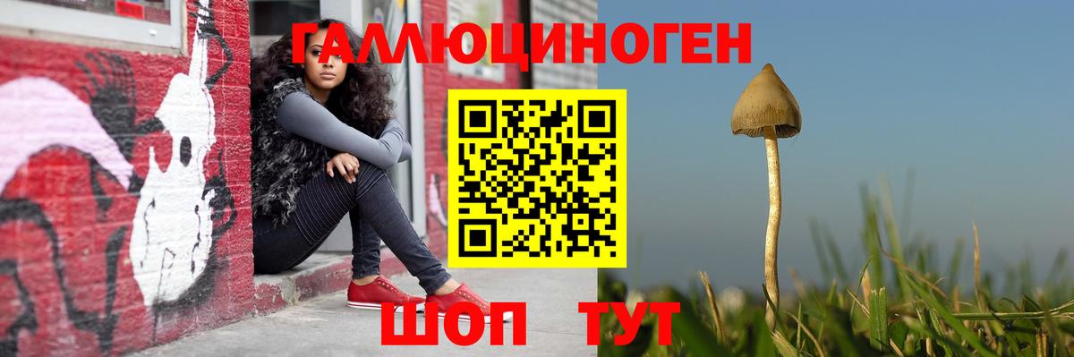 Серпухов  Псилоцибиновые грибы GOLDEN TEACHER  Вход с VPN 